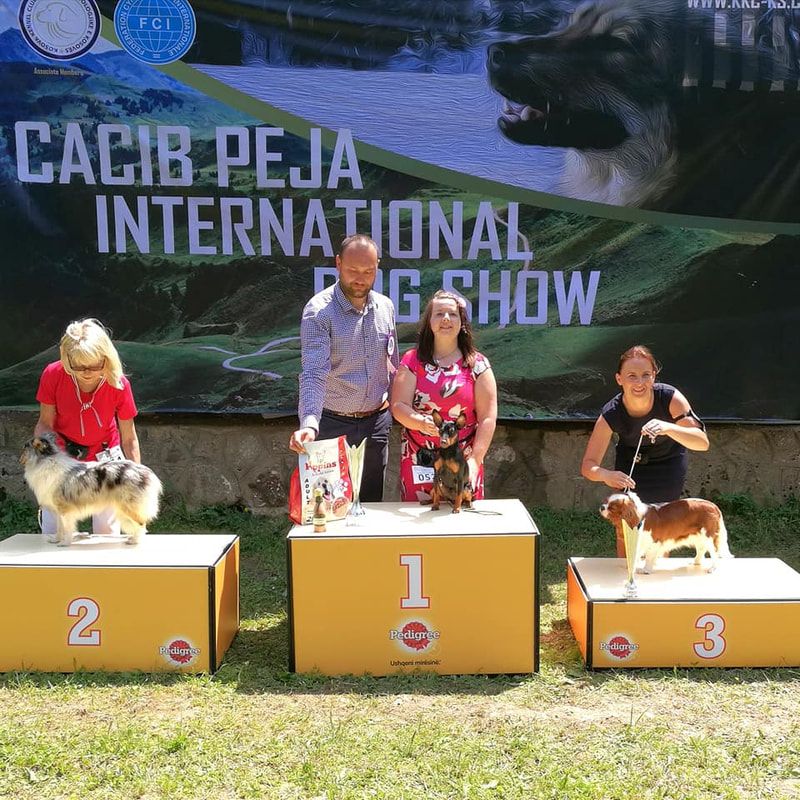 BEST IN SHOW 1 Junior
Peja, Kosova 2.8.2019